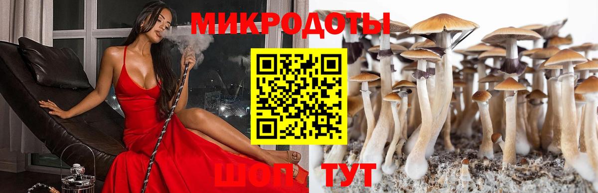 Галлюциногенные грибы MAGIC MUSHROOMS Гатчина