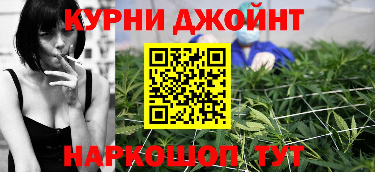 Марихуана сатива Гатчина