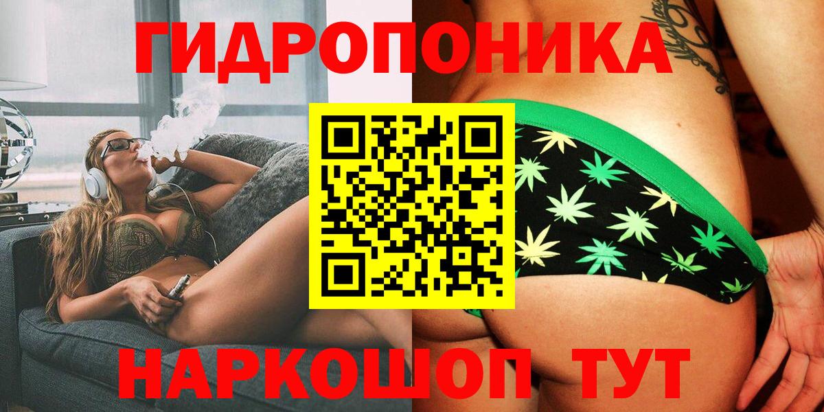 Бошки Шишки план  Каннабис планчик  Вход с VPN  Марихуана семена  Гатчина 